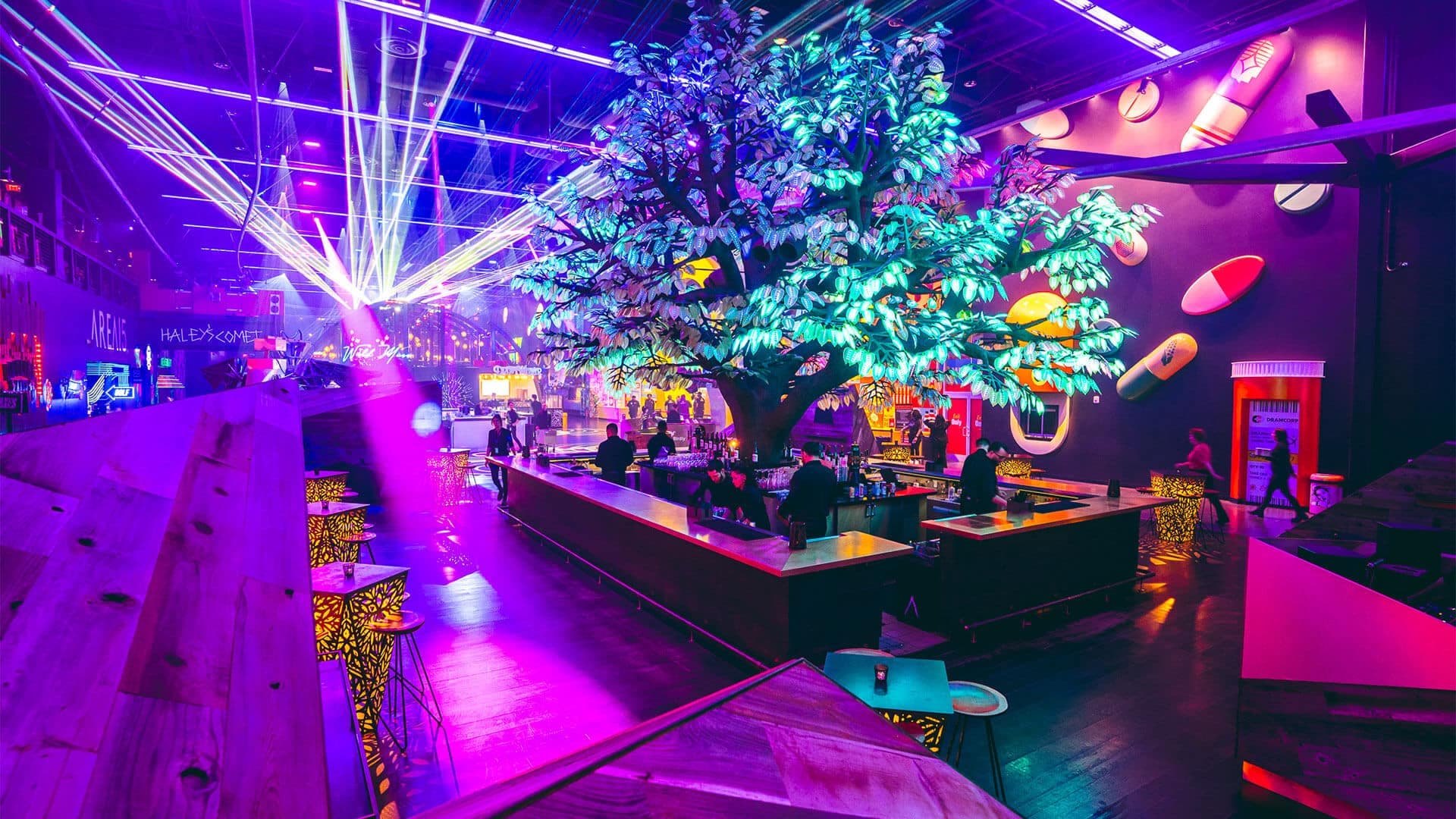 The maple tree at Oddwood bar